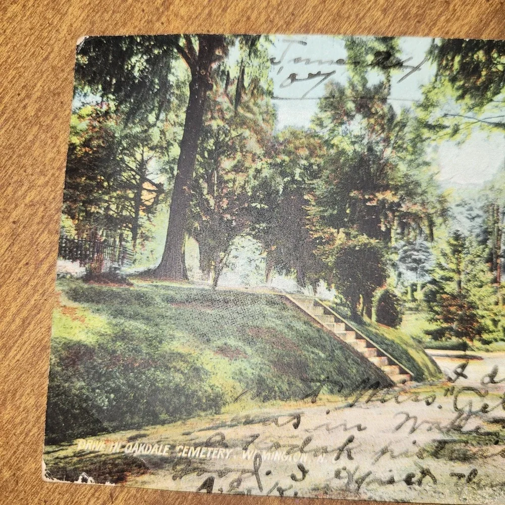 Antique 1907 Wilmington NC Oakdale Cemetery Drive Postcard Posted Green‎ 1c...